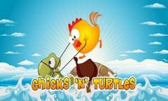 Chicks and Turtles