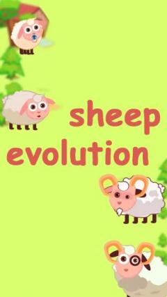 Sheep evolution