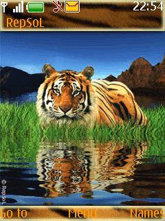 Free Java Tiger Animated Software Download in Themes & Wallpapers & Skins  Tag