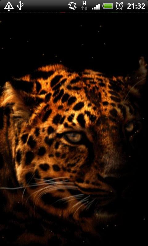 Free Samsung SM-G3509 Leopard Silhouette Live Wallpaper Software Download  in Animals Tag