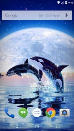 Free Huawei Ascend Mate 7 CDMA MT7-CL00 16GB Ocean Dolphins Live Wallpaper  Software Download