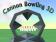 Cannon bowling 3D: Aim and shoot