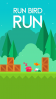 Run bird run
