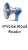 Voice aloud reader