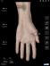 Hand & Wrist Pro III