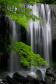 Zen Waterfalls