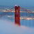 Blue Golden Gate Live Wallpaper