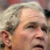 George W Bush News Tracker