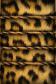 Leopard Skin Shelf