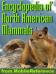 The Illustrated Encyclopedia Of North American Mammals: A Comprehensive Guide To Mammals Of North Am