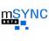 mSync Windows Mobile
