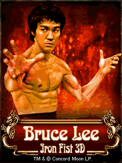 Bruce Lee Iron Fist 3D