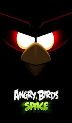 angry_bird_space(full version)