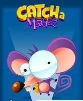Catch A Mouse