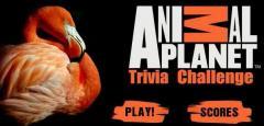 Animal Planet Trivia Chalange