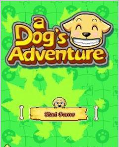 a dog adventure