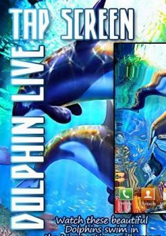 Tap Screen Dolphins Swim Live