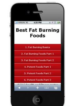 Best Fat Burning Foods