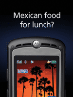 Garmin Mobile for US & Canada (8703e, Lifetime of device)