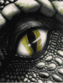 Dragon Eyee