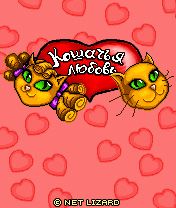 Cat love