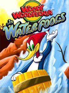 Woody Woodpecker in Waterfools