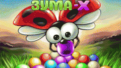 Zuma-X