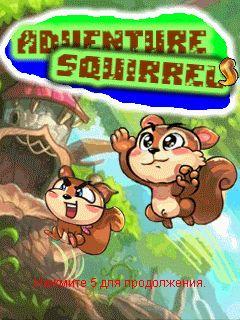 Adventure Squirrel