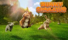 Bunny simulator