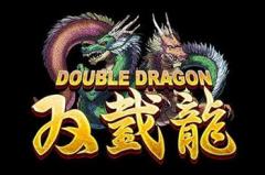 Double dragon advance