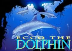 Ecco the dolphin