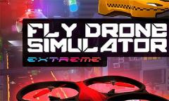 Fly drone simulator extreme