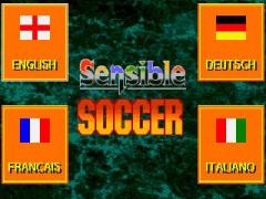 International sensible soccer