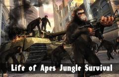 Life of apes: Jungle survival