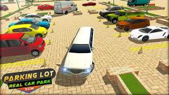Parking lot: Real car park sim