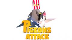 Pigeons attack