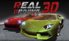 Real driving 3D