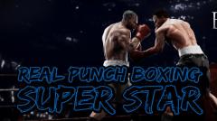 Real punch boxing super star: World fighting hero