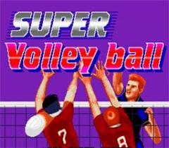 Super volleyball