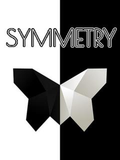 Symmetry: Path to perfection