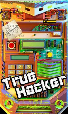 True hacker: Puzzle quest