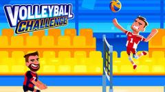 Volleyball challenge: Volleyball game