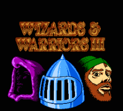 Wizards and Warriors 3