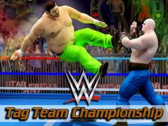 World tag team wrestling revolution championship