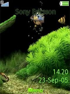 Sea Theme