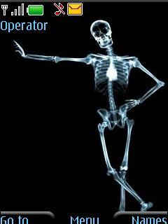 Skeleton