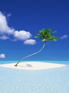 Phi-phi Island Theme