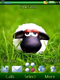 Sheep