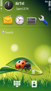 Lady Bug