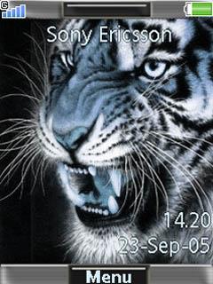 Animated Tiger